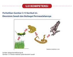 Aug 19, 2021 · kunci jawaban lks pkn kelas 7 semester 2 kurikulum 2013. 15 Kunci Jawaban Buku Ipa Intan Pariwara Kelas 7 Semester 2 Ideas In 2021 Sigma Blog Edu