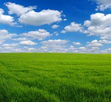 Photography has always been an integral part of design. Free Stock Images Photos By Stockfreeimages Com