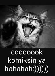 Zulfiye Kucuk Kilinc Adli Kullanicinin Gunaydin Iyi Geceler Mesaji Panosundaki Pin Komik Komik Hayvan Komik Tumblr