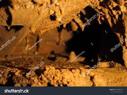 Cartera de fotos e imágenes de Jennifer Ponce Images | Colaborador de  Shutterstock