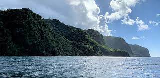 Martinique's cuisine is a rich fusion of french, african and creole flavors with seafood taking the spotlight. Martinique Wikipedia