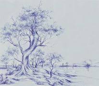 80 Baum Kugelschreiber Zeichnung Bilder Und Ideen Auf Kunstnet