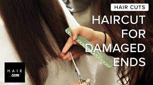 If you think a dry haircut may be for you, find out but which is better? Dry Haircut For Damaged Ends Youtube