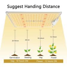 The led grow lights are providing a usb connector that gives more comfort for the gardener to use the lights. Spider Farmer Sf 1000 Led Grow Light Samsung Diodes