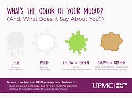 What Is Mucus Surprising Facts About Your Boogers Upmc