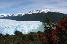 Noticias e información diaria de buenos aires, córdoba, rosario, mendoza, la plata periódicos diarios de argentina. 7 Rio Gallegos Argentina Ideas Rio Gallegos Santa Cruz Patagonia