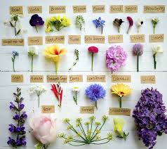 Repost Edible Flowers All In Bloom In My Spring Garden Not All Edible Flowers Tas List Of Edible Flowers Edible Flowers Early Spring Flowers