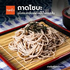 à¸–à¸²à¸”à¹‚à¸‹à¸šà¸° à¸­ à¸š à¸‡à¸—à¸£à¸‡à¹€à¸«à¸¥ à¸¢à¸¡à¸žà¸£ à¸­à¸¡à¹„à¸¡ à¹„à¸œ à¸£à¸­à¸‡à¹€à¸ª à¸™ Shopee Thailand