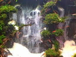 Apakah Anda Pernah Lihat Aquarium Yang Didalamnya Ada Air Terjun Mungkin Anda Akan Sangat Heran Kog Bisa Ada Air Terjun Didal Aquascaping Aquarium Air Terjun