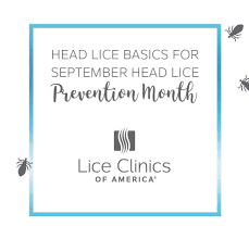 Rodents (mice, rats, groundhogs) bedbugs, termites, ants, bees, birds, fleas, mice, spiders, roaches and more. Top 8 Head Lice Questions Lice Clinics Of America Central Mississippi