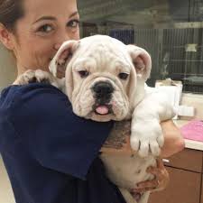 Elsie Newman (@tuffteal)