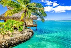 ✓ hd to 4k quality ✓ free download. Paradise Beach In Maldives Beaches Nature Background Wallpapers On Desktop Nexus Image 1743883