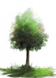 Create Beautiful Custom Brushes For Painting Trees Photoshop Tutorial Pxleyes Com Tree Photoshop Watercolor Trees Tree Painting