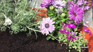 The cheapest way to get from brno to ivančice costs only 56 kč, and the quickest way takes just 27 there are 5 ways to get from brno to ivančice by train, bus, taxi or car. Kombinacije Trajnica Za Sareniji Vrt Dom Na Kvadrat