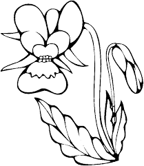 Colecție de la emilian istrate. Planse De Colorat Cu Flori Pentru Copii