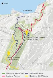 Victoria's department of health and human services has released a map breaking down confirmed and active cases. Outdoors Mount Victoria Lookout Walkway Wellington City Council