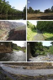 A plant that is active throughout the year or survives for more than two growing seasons. Ephemeral Stream An Overview Sciencedirect Topics