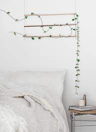 Check spelling or type a new query. Everything You Need To Know About Houseplant Vines Gardenista
