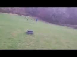 General Almost Home Dog Rescue North Wales Rescue Dogs Dogs Rescue