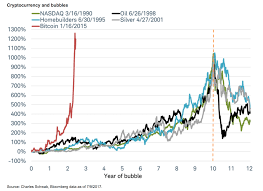 Bitcoin Growth Versus Other Bubbles In The Economy Of The