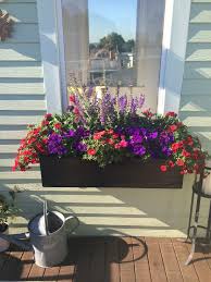 We did not find results for: Window Box With Red And Purple Petunias Portulaca Snapdragons And Salvia Window Box Flowers Planter Boxes Flowers Window Box Plants