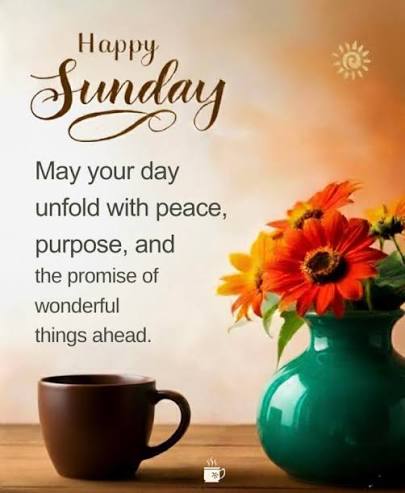 Good morning and Happy Sunday! Have a peaceful and productive day. 🤗  #keepshining✨ @highlight