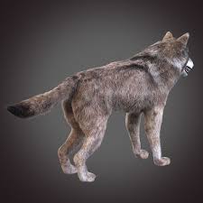 Grey Wolf 3d Model 20 Max Obj Fbx 3ds Unknown Free3d