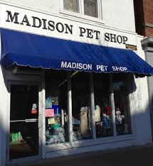 Current estimates show this company has an annual revenue of 97000 and employs a staff of approximately 2. Madison Pet Shop 26 Main St Madison Nj Veterinarians Mapquest