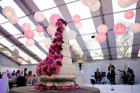 Johannesburg Real Wedding