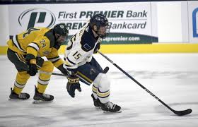 Dynamic newcomers join key offensive contributors for Augustana hockey