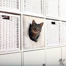 kattehule til ikea hylle katze hohle katzenhohle katzen
