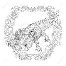You can use our amazing online tool to color and edit the following amphibian coloring pages. Coloring Page With Cute Axolotl In Patterned Style Black White Royalty Free Cliparts Vectors And Stock Illustration Image 136246282