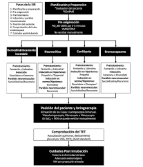 39 me gusta 1 comentarios datos anestesia datosanestesia en instagram secuencia de induccion rapida en paciente critico sir viaaerea secuenciarapid