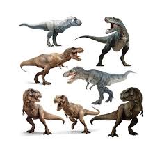 Dinosaur Rex Tyrannosaurus T Rex Overlay Photoshop Png In 2021 Animal Art Dinosaur Dinosaur Art