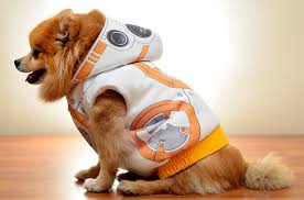 Star Wars Droid Dog Costumes Star Wars Dog Costumes Dog Costumes War Dogs