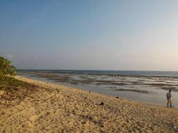 Check spelling or type a new query. Pantai Ujung Genteng Bild Von Ujung Genteng Beach Sukabumi Tripadvisor