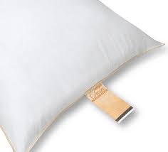 Maybe you would like to learn more about one of these? Bulk Hotel Pillow Gold Choice Standard 22 O Pillows Accessories