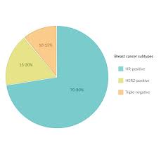 How is breast cancer detected and diagnosed? Breast Cancer Amboss