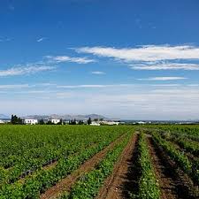 HATZIEMMANOUIL WINERY (2025) All You Need to Know BEFORE You Go (with  Reviews)