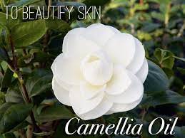 Pin On Organic Ingredients For Body And Skin Care