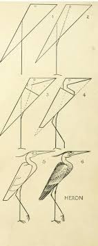 Mythologyofblue Simple Line Drawings Line Art Drawings Drawing Birds Easy