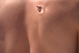 Gav goes to arizona to film a taser being deployed at a human target in super slow motion.follow gav on twitter. Watch Bare Skin Taser Impact In Slow Motion Upi Com