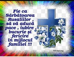 De praznicul pogorârii sfântului duh, ips timotei, arhiepiscop al aradului, a slujit la mănăstirea bodrog, ps lucian, episcopul caransebeșului, a slujit la catedrala episcopală 'învierea domnului' și 'sfântul prooroc ilie. Facebook