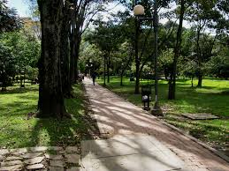 Image result for parque