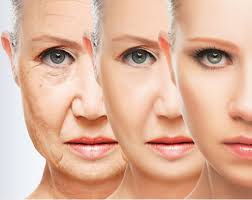 Salud Plena y Belleza