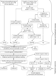 Flow Chart Showing Diagnosis Management Follow Up And