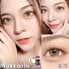 WinkWow Muk Karin Eff.19 Brown ใหญ่