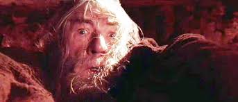 images?q=tbn:ANd9GcT6Cfcjbw1dJ36IKFVw8lT