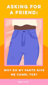 The bactrian camel lives in central asia. Why Do My Pants Give Me Camel Toe Brit Co