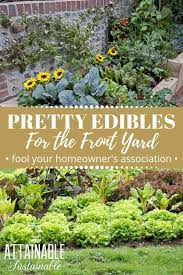Planting A Front Yard Garden Full Of Pretty Edibles Annual And Perennial Vegetables Is A Vegetable Garden Design Edible Landscaping Perennial Vegetables